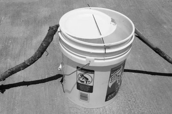 5 Gallon Bucket Mouse Trap – Walk the Plank Mouse Trap